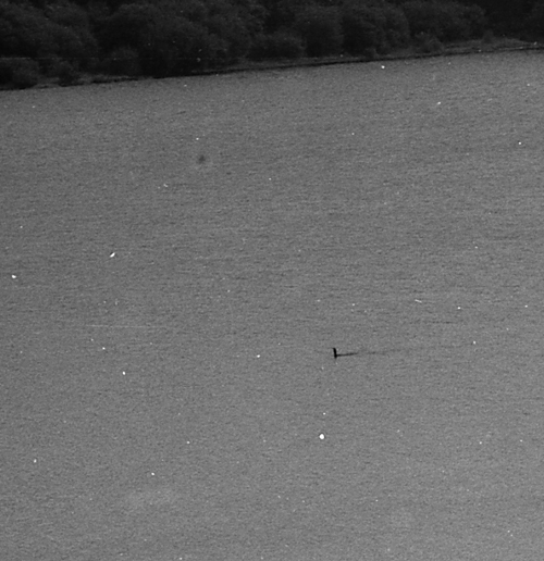 The Bassenthwaite Eachy