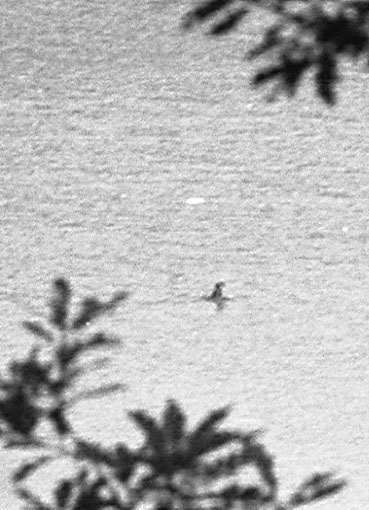 The Bassenthwaite Eachy