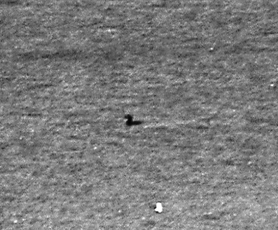 The Bassenthwaite Eachy