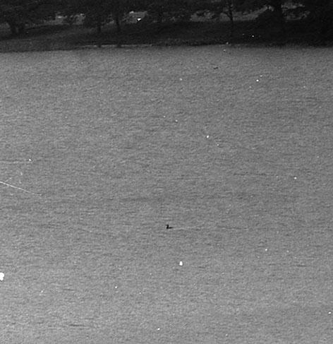 The Bassenthwaite Eachy